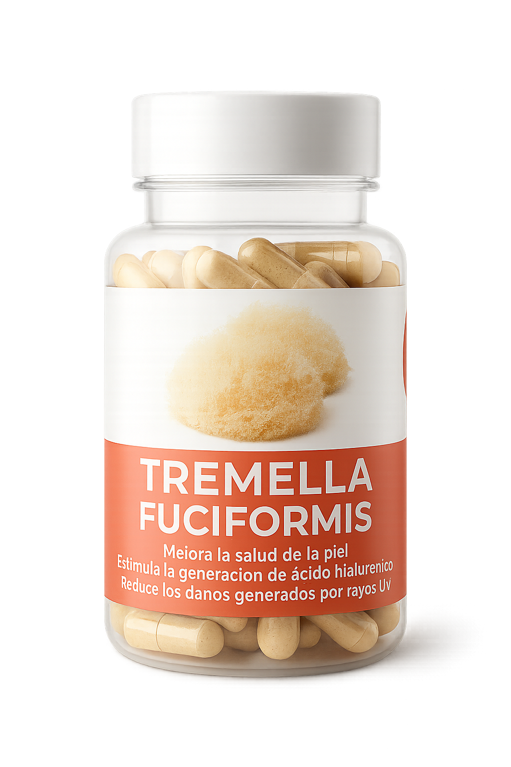 Tremella Fuciformis — Dimensión Fungi
